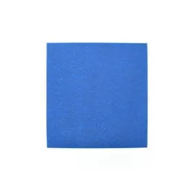 Placă Blue Tape 210*200mm