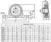 KP005 25mm Rulment cu bloc de pernă