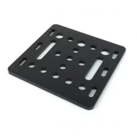 Placa Mini V Gantry - 2020